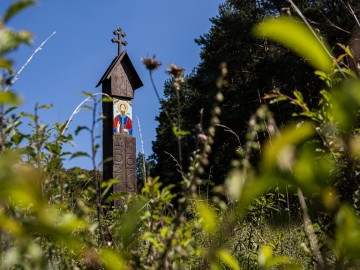 Letnie działania w Przedborskim Parku Krajobrazowym 2025, 